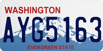WA license plate AYG5163
