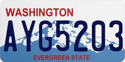 WA license plate AYG5203