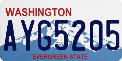 WA license plate AYG5205