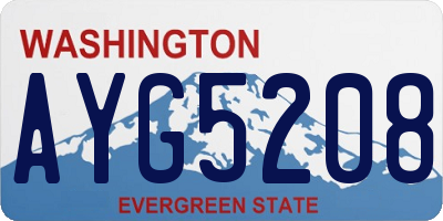 WA license plate AYG5208