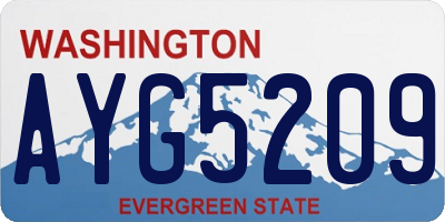 WA license plate AYG5209