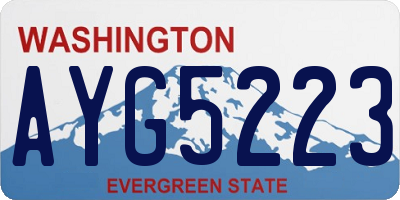 WA license plate AYG5223