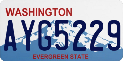 WA license plate AYG5229