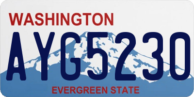 WA license plate AYG5230
