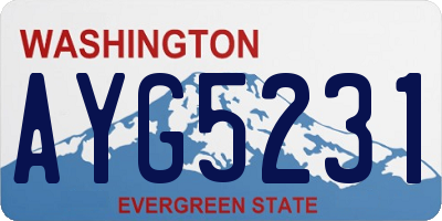 WA license plate AYG5231
