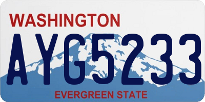 WA license plate AYG5233
