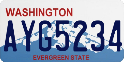 WA license plate AYG5234