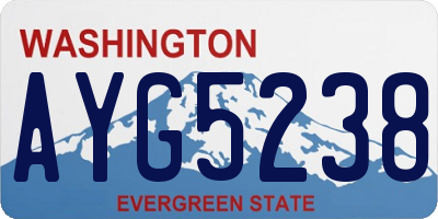 WA license plate AYG5238