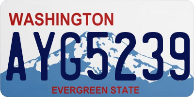 WA license plate AYG5239