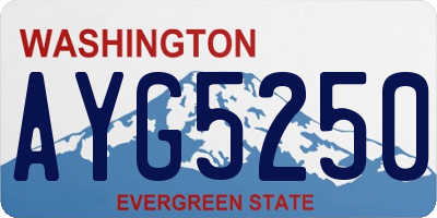 WA license plate AYG5250
