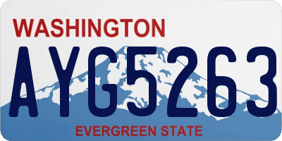 WA license plate AYG5263