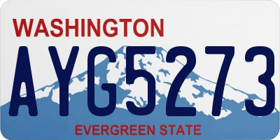 WA license plate AYG5273