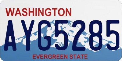 WA license plate AYG5285
