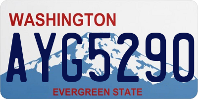 WA license plate AYG5290