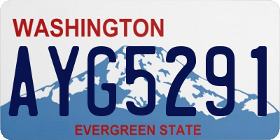 WA license plate AYG5291