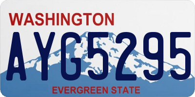 WA license plate AYG5295