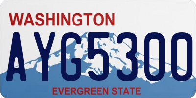 WA license plate AYG5300