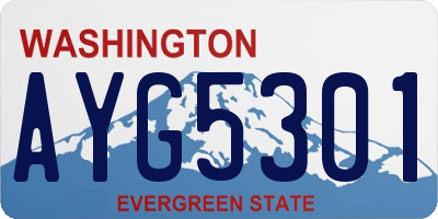 WA license plate AYG5301