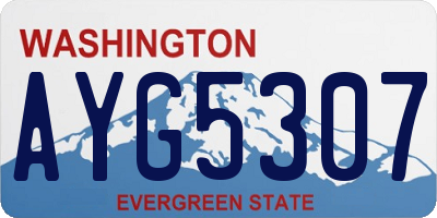 WA license plate AYG5307