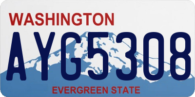 WA license plate AYG5308