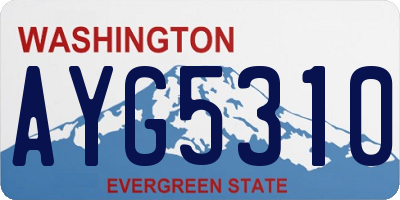 WA license plate AYG5310