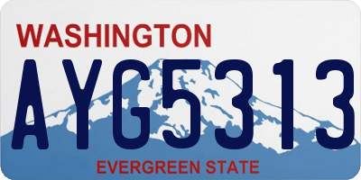 WA license plate AYG5313