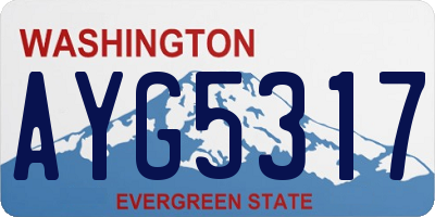 WA license plate AYG5317