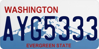 WA license plate AYG5333