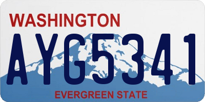 WA license plate AYG5341