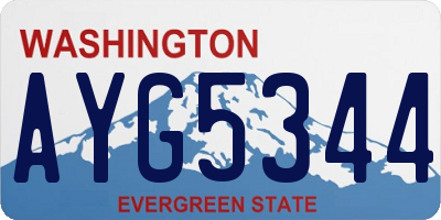 WA license plate AYG5344