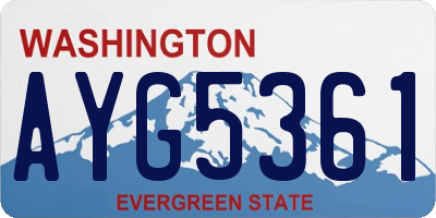 WA license plate AYG5361