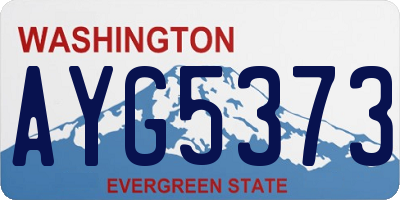WA license plate AYG5373