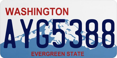 WA license plate AYG5388