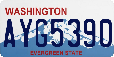 WA license plate AYG5390