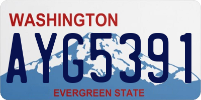 WA license plate AYG5391