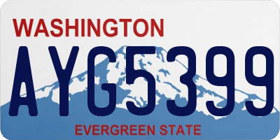 WA license plate AYG5399