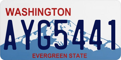 WA license plate AYG5441