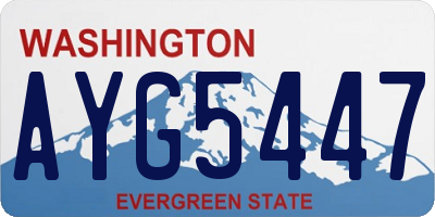 WA license plate AYG5447