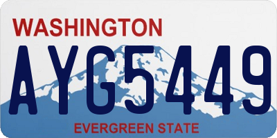 WA license plate AYG5449
