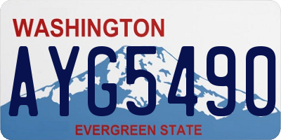 WA license plate AYG5490