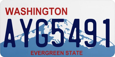 WA license plate AYG5491