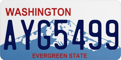WA license plate AYG5499