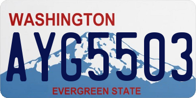WA license plate AYG5503