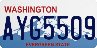 WA license plate AYG5509