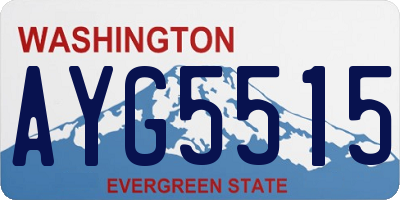 WA license plate AYG5515