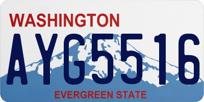 WA license plate AYG5516