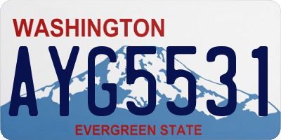 WA license plate AYG5531