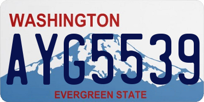 WA license plate AYG5539