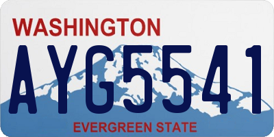 WA license plate AYG5541