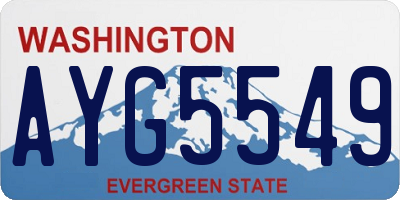 WA license plate AYG5549